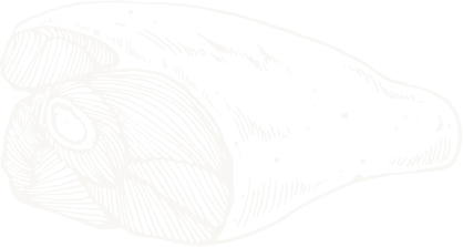 about-shape-1-2 about-shape-1-2